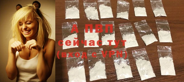 стаф Михайлов