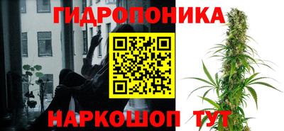 кокс Ливны