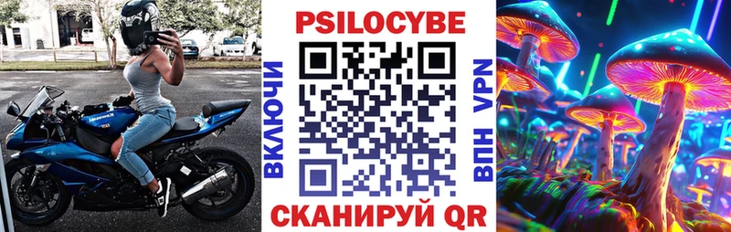 закладки  Курск  Псилоцибиновые грибы MAGIC MUSHROOMS 