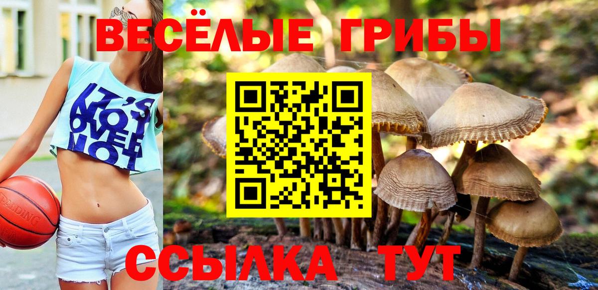 Псилоцибиновые грибы прущие грибы Курск