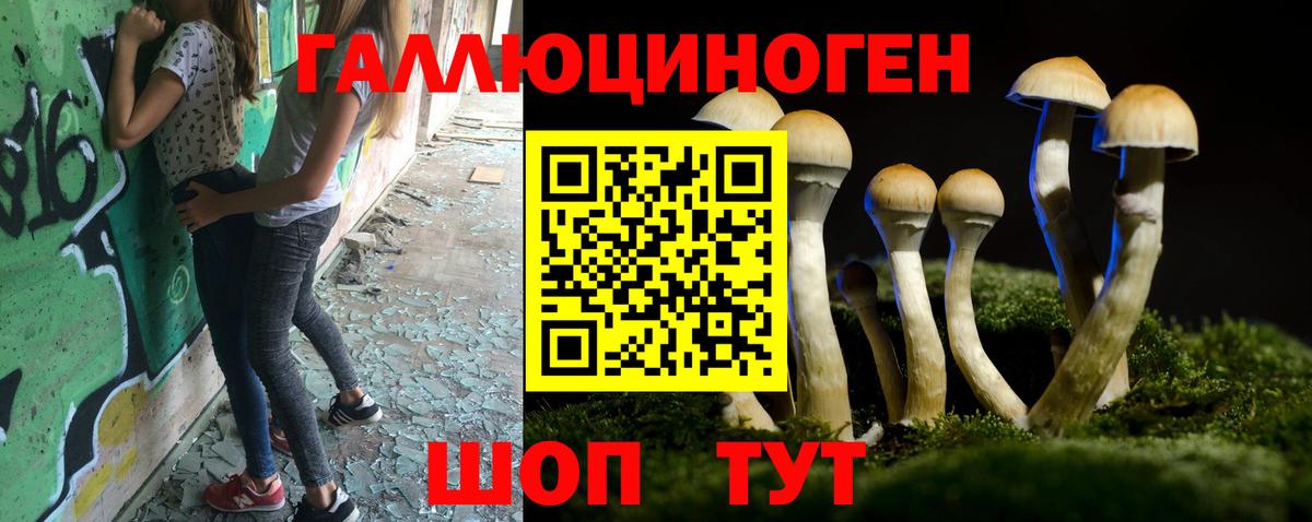Курск  Псилоцибиновые грибы GOLDEN TEACHER  Вход с VPN 