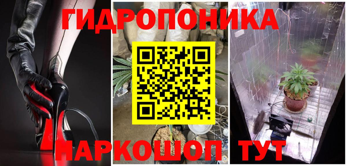Марихуана сатива  МАРИХУАНА планчик  МАРИХУАНА Amnesia  Курск  Вход с VPN  Шишки марихуана индика 